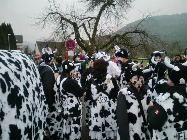 Umzug Reichenbach