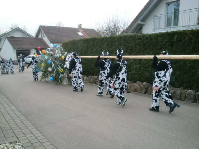 Baumstellen 003