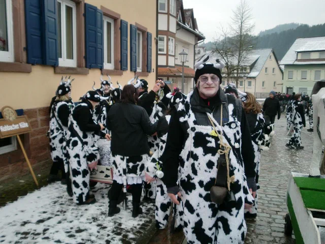 Umzug Seelbach