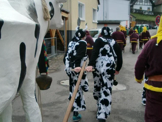 Sulz 2015 013