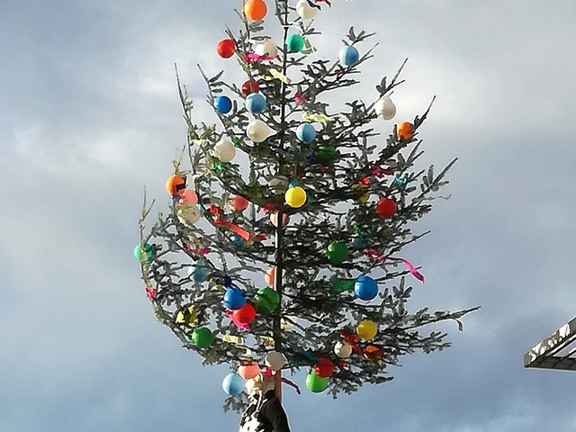 Narrenbaum stellen