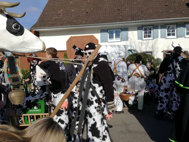 Umzug Biberach