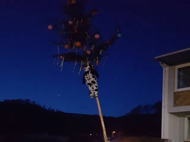Baum fällen
